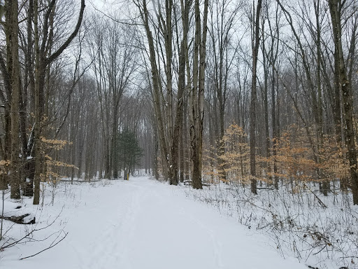 Dix Park - Visual