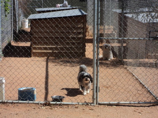 Riverland Boarding Kennels - Thumbnail