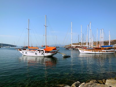 Marina Taxi