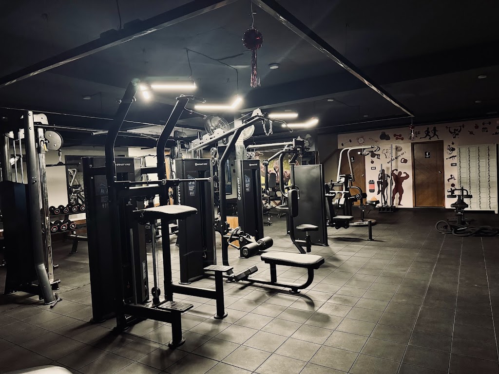 In Shape Fitness Unisex Gym