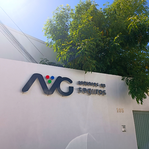 AVG Seguros - Thumbnail