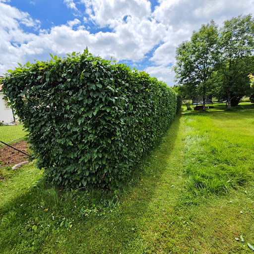 Photo de Les Jardins de Nicolas à Aslonnes (86340)