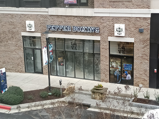 Pepper Boxing - Visual