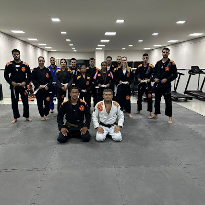 B9 Jiu-Jitsu - Filial CTL Pará de Minas