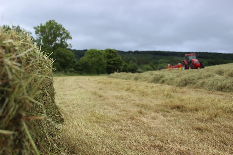 Devon Haylage photo 3