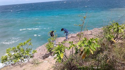 Photos of Pantai Woka