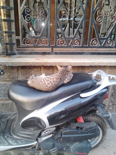 Photos of Pizzeria cupola ain mouse