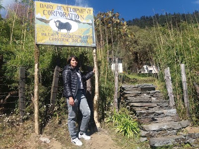 Photos of Cherdung Cheese Factory