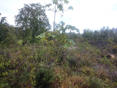 Photos of Cave Valley Market