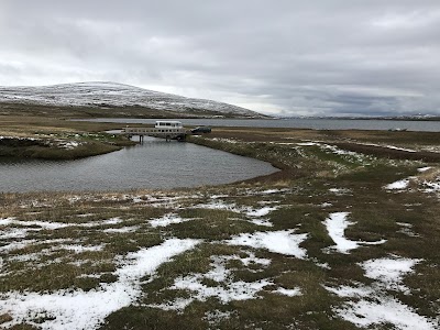 Photos of S&aelig;nautasel