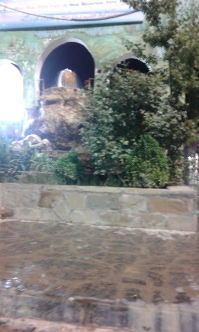 Photos of النور و النسيم