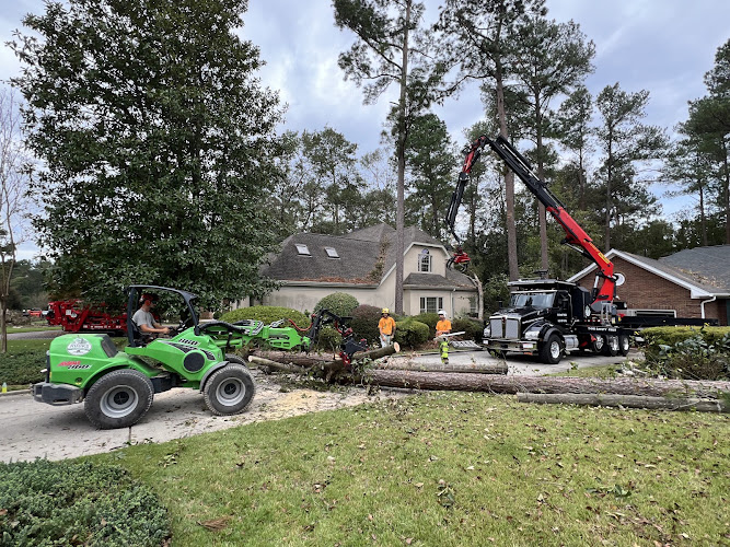 Rook's Tree and Stump Services, LLC
