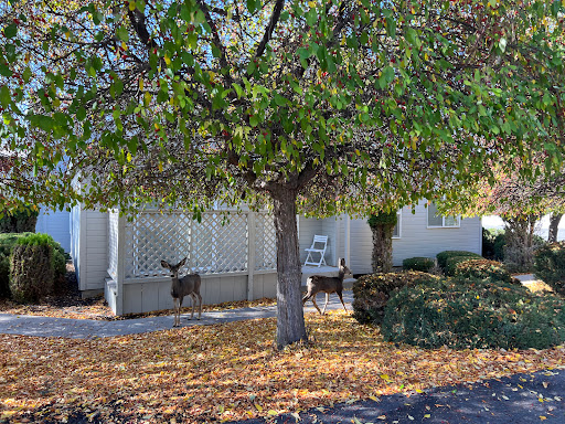Stewart Property Management Gallery - United States