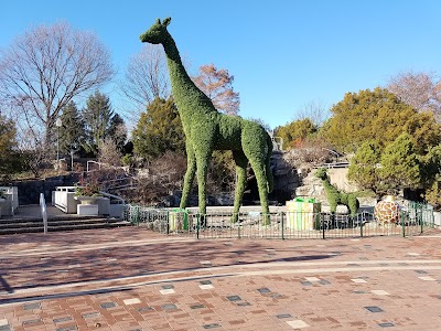 Saint Louis Zoo North Parking Lot