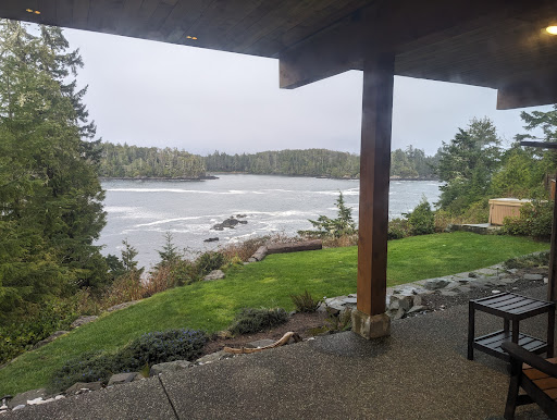Cygnet Cove