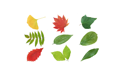 植Qガーデンサービス