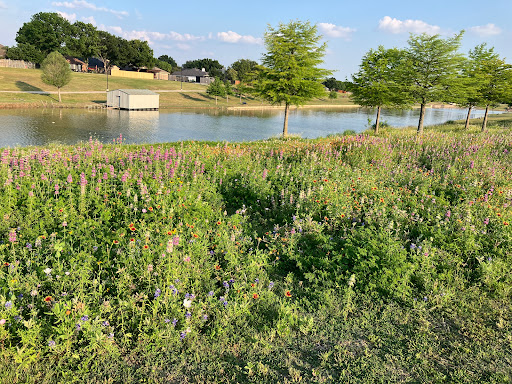 Capp Smith Park - Visual