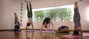 Balance Studio - Pilates & Yoga 1