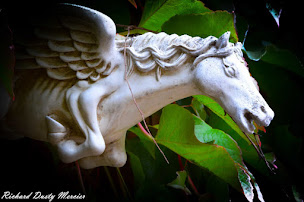 Photo n°20 de Domaine Saint Michel d'Alsace à Le Hohwald (Appartement de vacances)