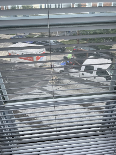RIO Moving - Visual