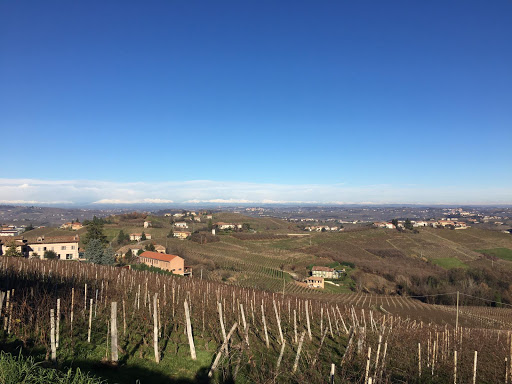 Vigneti Aliberti - Thumbnail