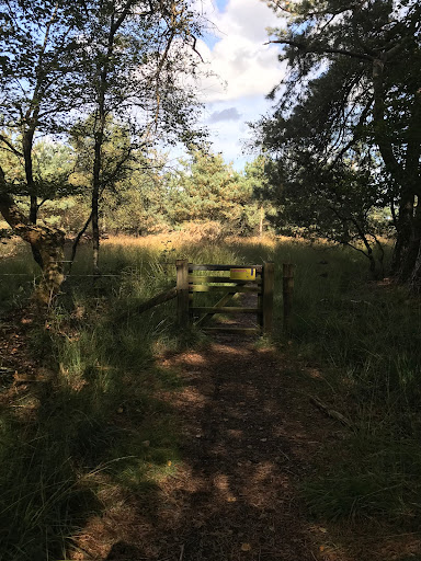 Deurensche Berg (Rheder- en Worth-Rhederheide) - Thumbnail