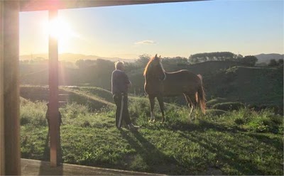 Photos of Kauri Lodge Farmstay