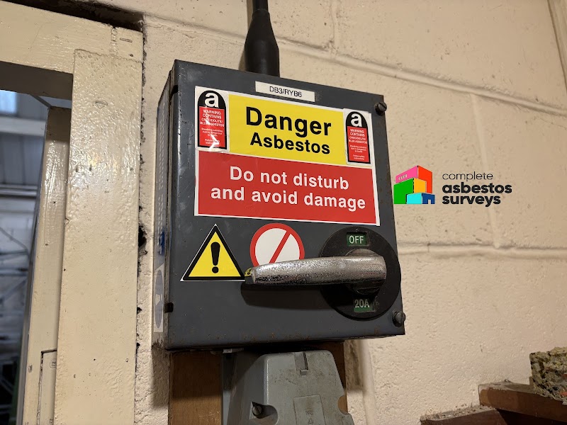 Complete Asbestos Surveys photo 2