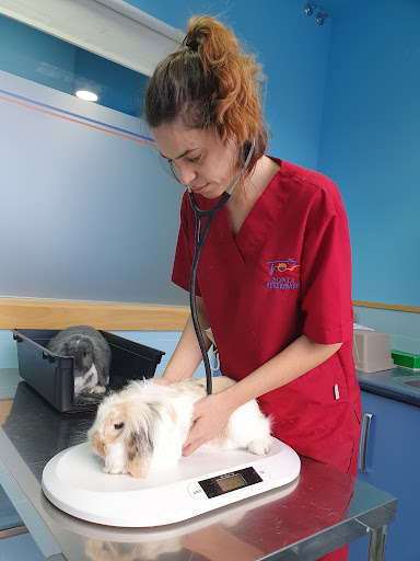 Clínica Veterinaria El Parque Talavera
