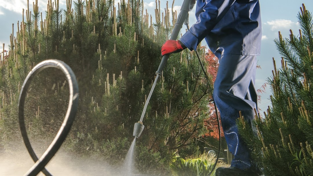 Pressure Washing, pressure Washing Near Me, Augusta, GA