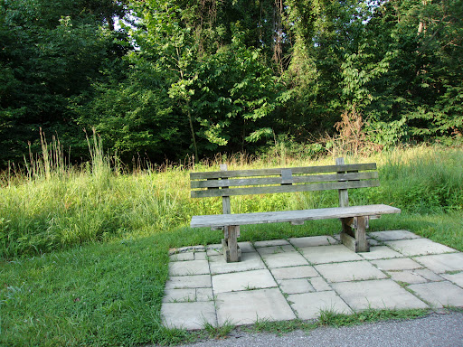 Fee Fee Greenway - Thumbnail