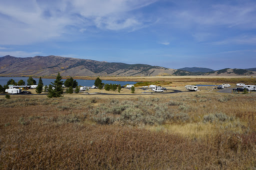 Caddis Loop - Visual