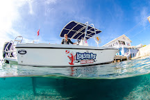 Lobster Pot Dive Center, Grand Cayman, Cayman Islands