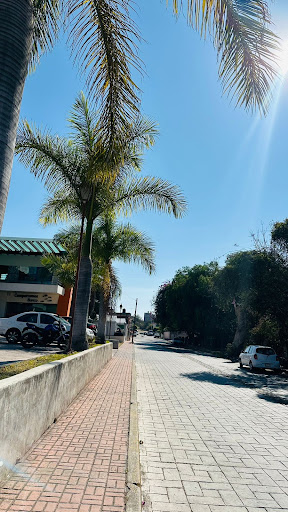 ASOCIACION MEXICANA DE PROFESIONALES INMOBILIARIOS, A.C. IXTAPAN DE LA SAL. - Thumbnail