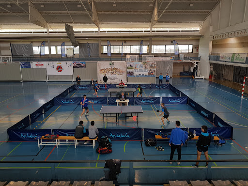 Municipal Sports