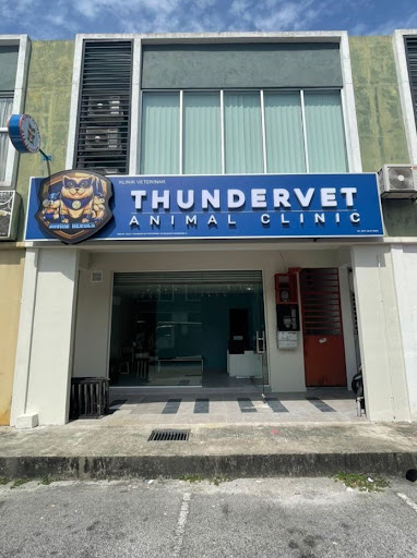 Thundervet Animal Clinic