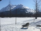 Фотография , Окленд, Новая Зеландия