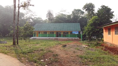 school