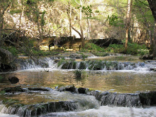 Photo n°11 de Office de Tourisme à Biot (Centre d'information)