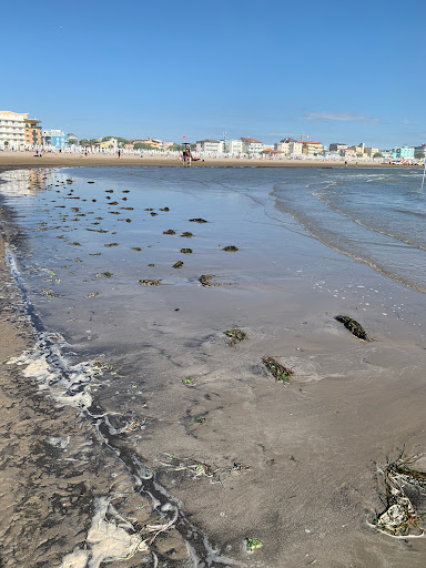 Beach Levante - Visual