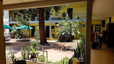 Photos of Hotel & Hostel Allende
