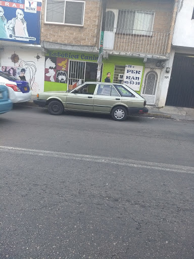 Estética canina