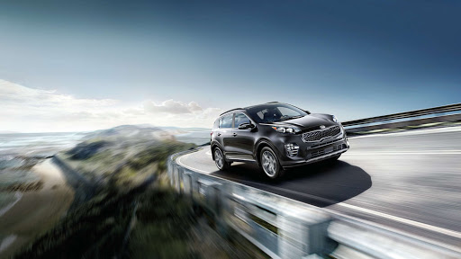 Napleton's River Oaks Kia - Thumbnail