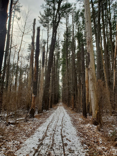 McDade Trail