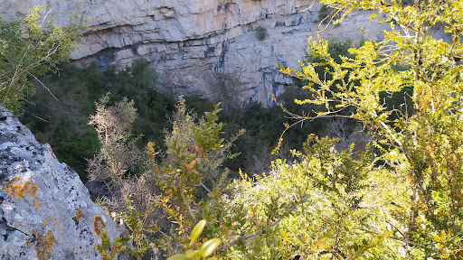 Hoya La Cueva - Thumbnail
