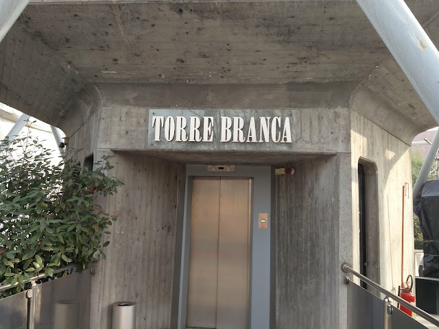 Torre Branca