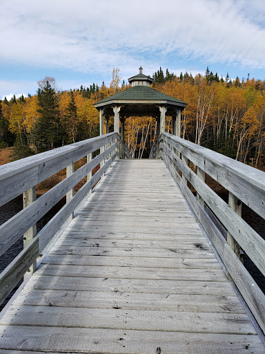 Hazelnut Hill Hiking Trail - Thumbnail