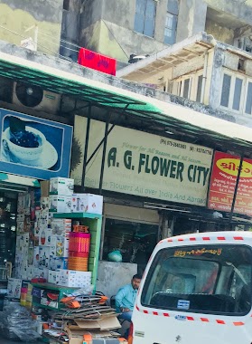 A.G.Flower City, Author: S A