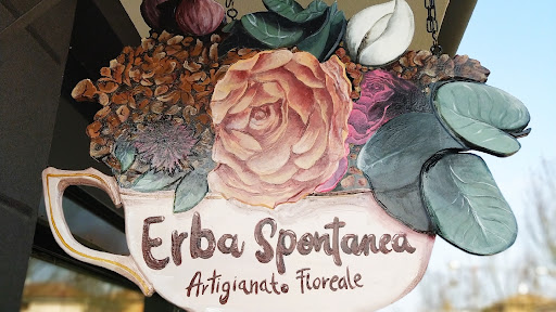 Erba Spontanea - Visual