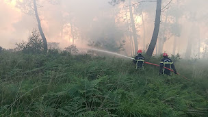 Photo n°2 de Bergerie du Menez Hom : agneaux et laines à Dinéault (Ferme d'élevage)